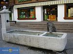 sviss079